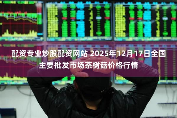 配资专业炒股配资网站 2025年12月17日全国主要批发市场茶树菇价格行情
